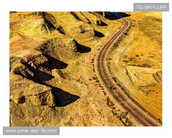 “荒野追逐：沙漠、山林的极限对抗”，荒野 沙漠