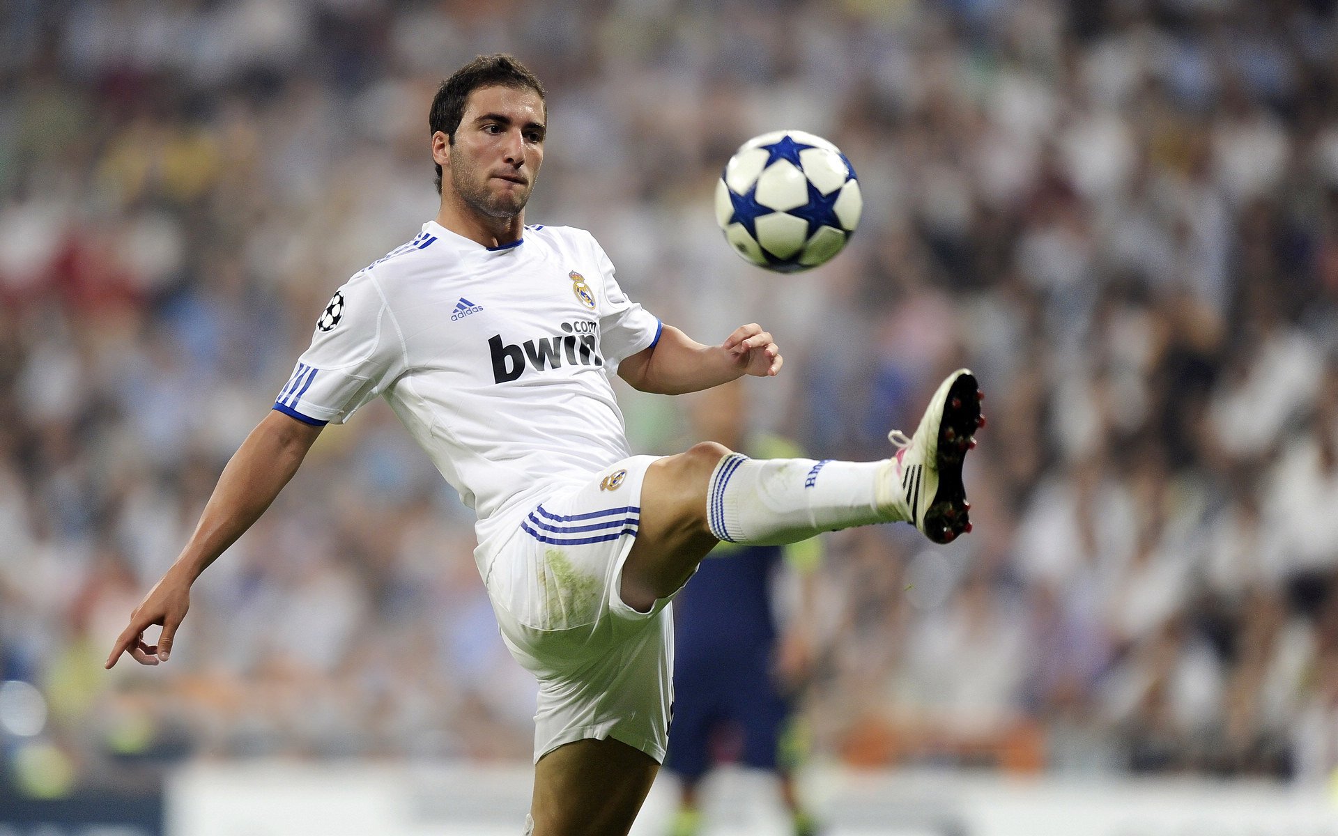 橄榄球世界杯：新西兰全黑队夺冠 哈卡战舞再次征服世界